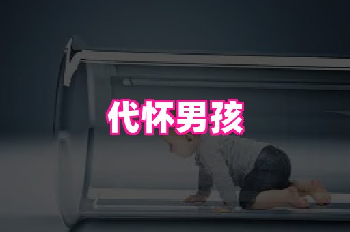 821孕网 1