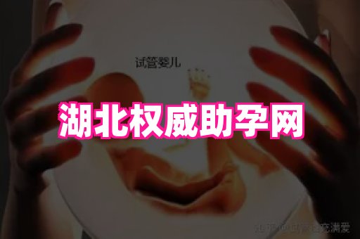 821孕网 2