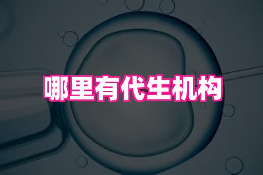 821孕网 4